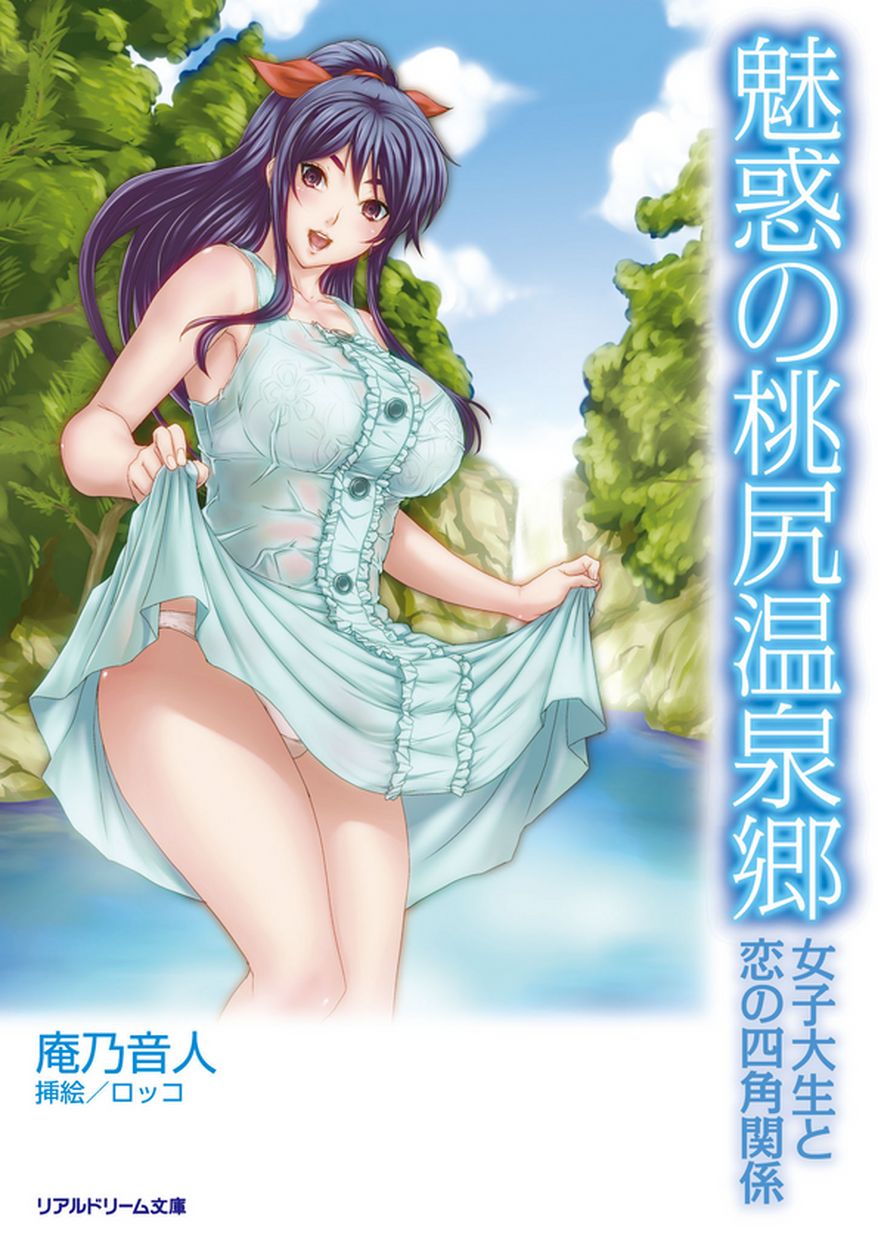 Kannou Shousetsu Illust Real Dream Bunko page 3 full