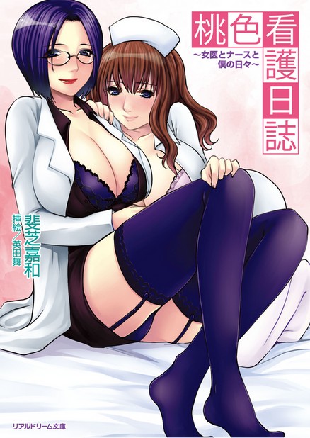 Kannou Shousetsu Illust Real Dream Bunko page 4 full