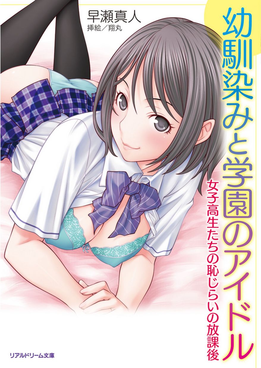 Kannou Shousetsu Illust Real Dream Bunko page 8 full