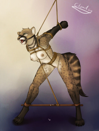 Furry Bondage 2 cover