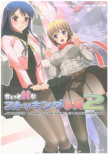 Chotto H na Stocking Jiten 2 cover