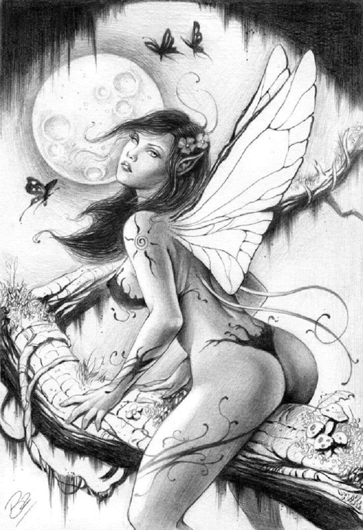 EROTIC ART COLLECTOR 0006 ANDRE BDOIS page 7 full