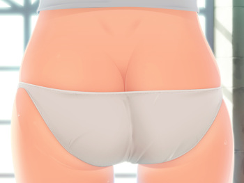 portion cover