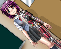 Kikaika no sadame