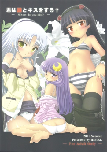 Kimi wa Dare to Kiss wo Suru? cover