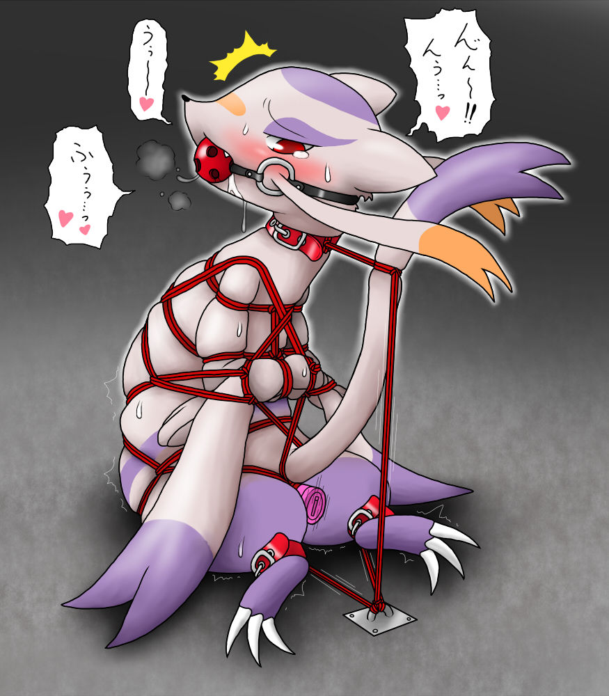 My favorite pokemon gallery 2 page 2 full