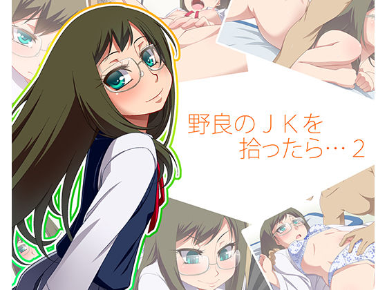 Nora no JK wo Hirottara... 2 page 1 full