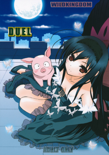 DUEL cover