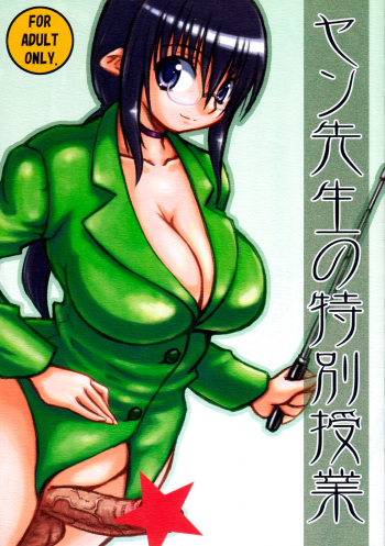 Yan-sensei no Tokubetsu Jugyou  =SW &amp; Ero Manga Girls= cover