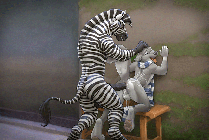 furry gifs 1 page 1 full