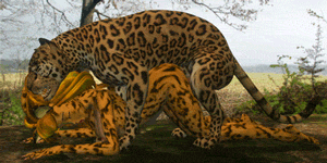 furry gifs 1 page 6 full