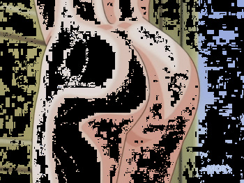 Discipline cover