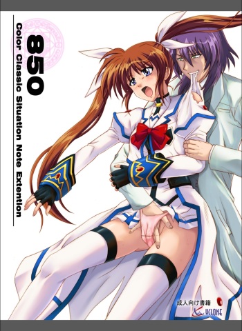 850 - Color Classic Situation Note Extention cover