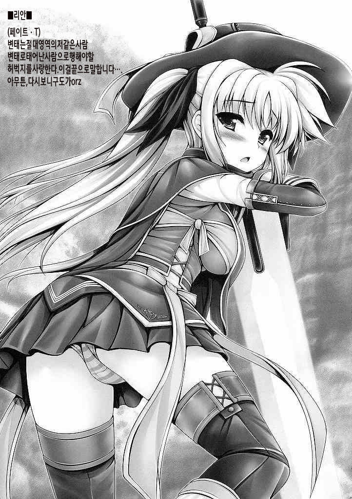 MONSTER HUNTER Lyrical Fate β-Han page 4 full