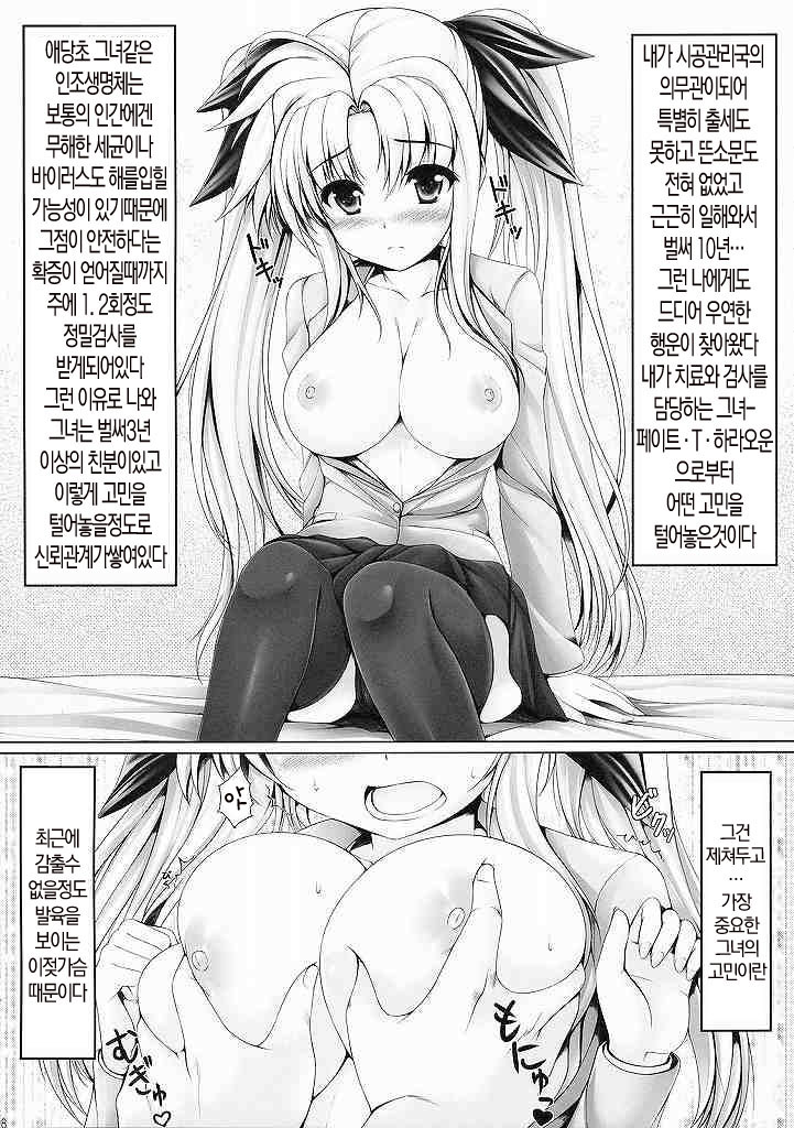 MONSTER HUNTER Lyrical Fate β-Han page 7 full
