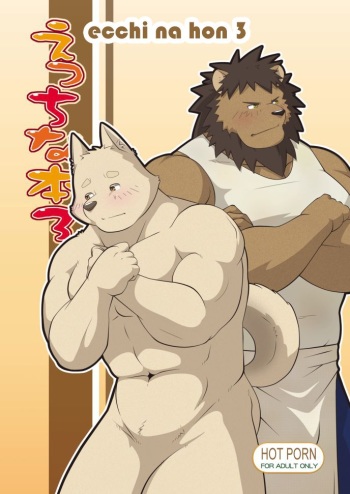 Ecchi Na Hon 3 cover