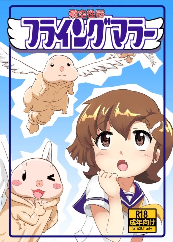 Flying Mara cover
