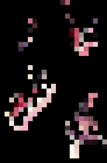 DSi gifs cover