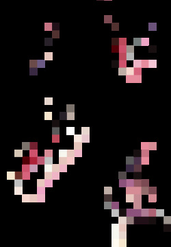 DSi gifs