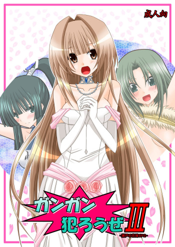 Gangan Yarouze 3 -Seto no Hanayome SP2- cover