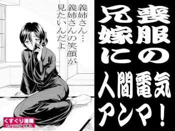 Mofuku no Aniyome ni Ningen Denki Anma cover