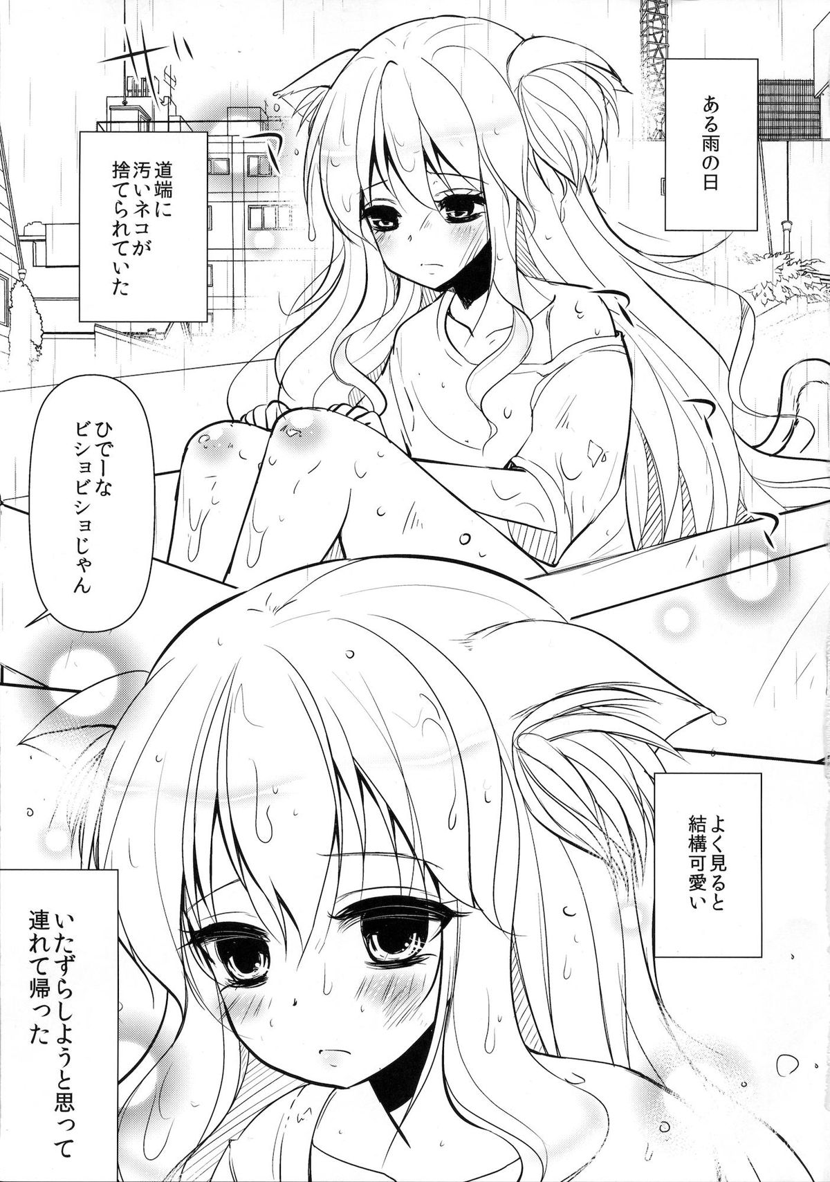 Nekomimi Josou Shounen Shiiku Nikki page 2 full