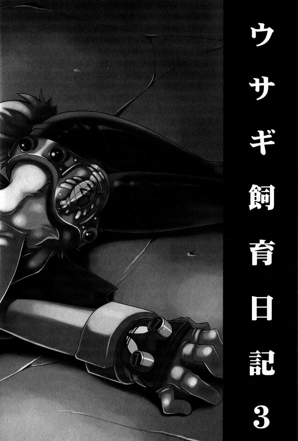 Usagi Shiiku Nikki 3 page 4 full