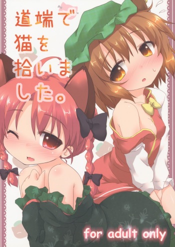 Michibata de Neko wo Hiroimashita. cover