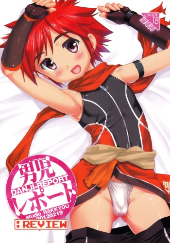 Danji Report: REVIEW cover