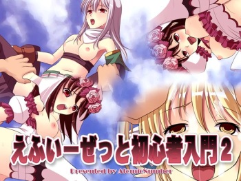 FEZ Shoshinsha Nyuumon 2 cover