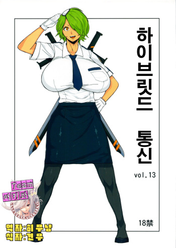 Hybrid Tsuushin vol.13 cover