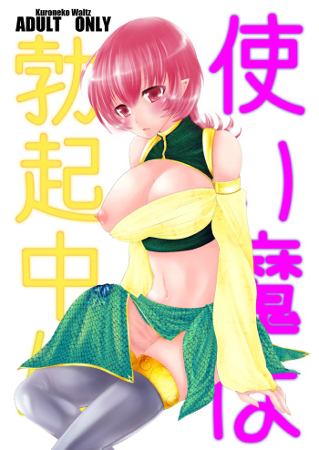 Tsukaima wa Bokki-chuu!? cover