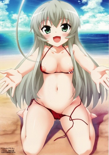 Nyaru Plus cover