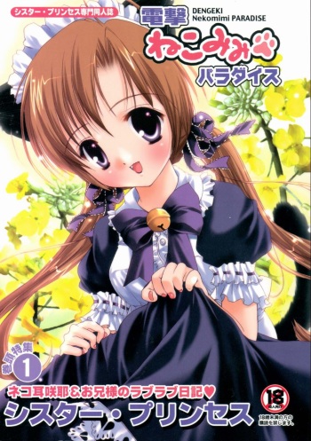 Dengeki Nekomimi Paradise cover