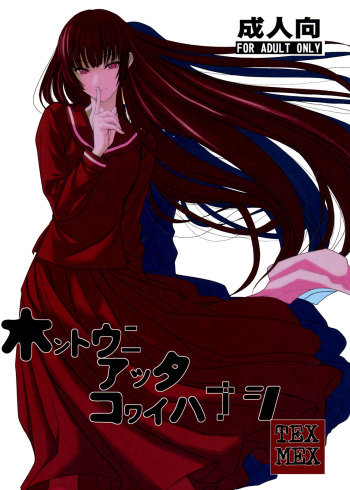 Hontou ni Atta Kowai Hanashi | It Really Was There! A Scary Story cover