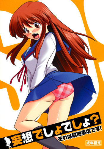 Mousou Desho Desho? Sore wa Kinsoku Jikou desu! cover