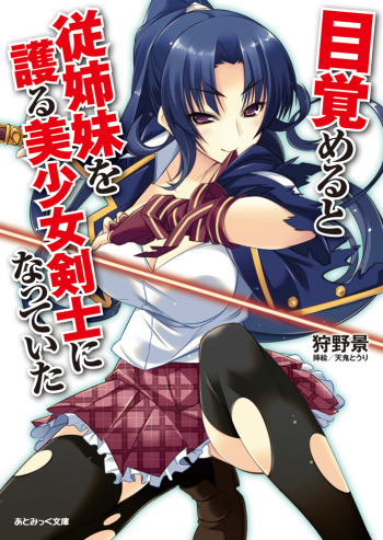 Mezameru to Itoko wo Mamoru Bishoujo Kenshi ni Natteita cover