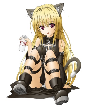 - Artist - TOSHI cover