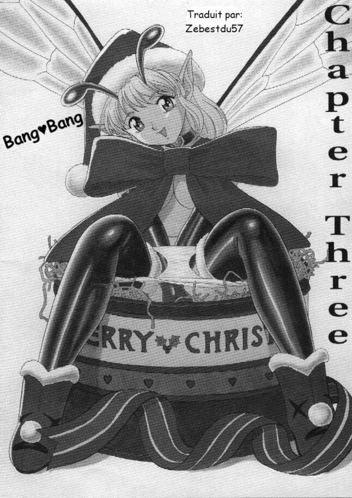 Bondage Fairies Extreme Vol. 3 page 2 full