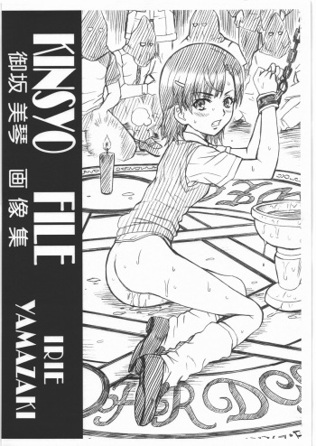 KINSYO FILE Misaka Mikoto Gazoushuu cover