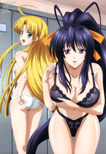 High School DxD cover