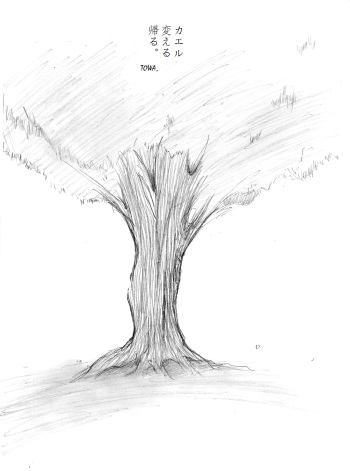 "Shin" Kaeru Kaeru Kaeru. cover