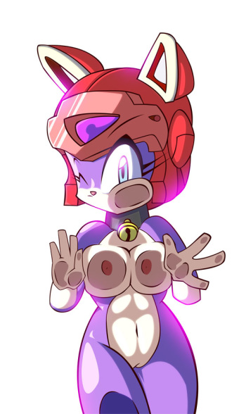 Samurai pizza cats cover