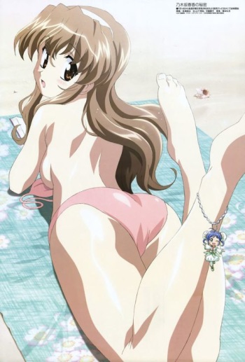 NogizakaHarukaNoHimitsu_CG cover