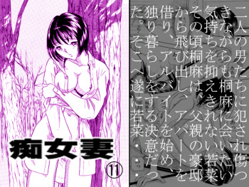 Chijo tsuma 11 cover