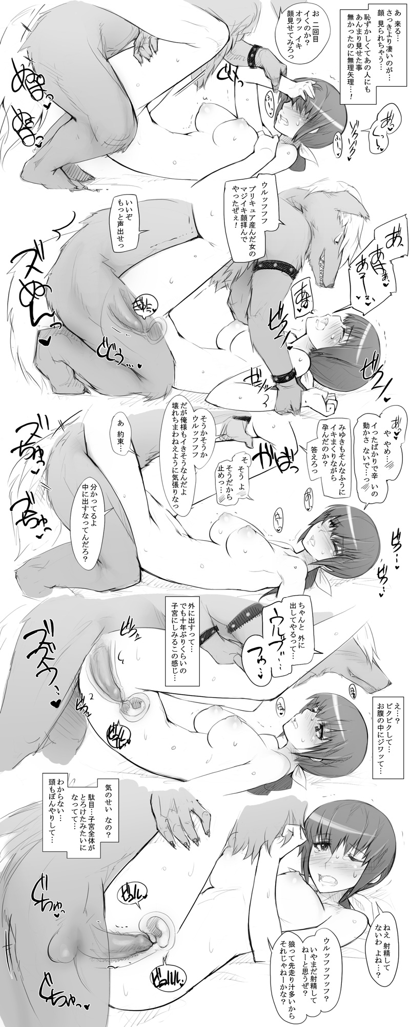 Hoshizora-taku ni Isourou shiteru Wolfrun ga Ikuyo ni Hankyousei Sex Zanmai page 5 full