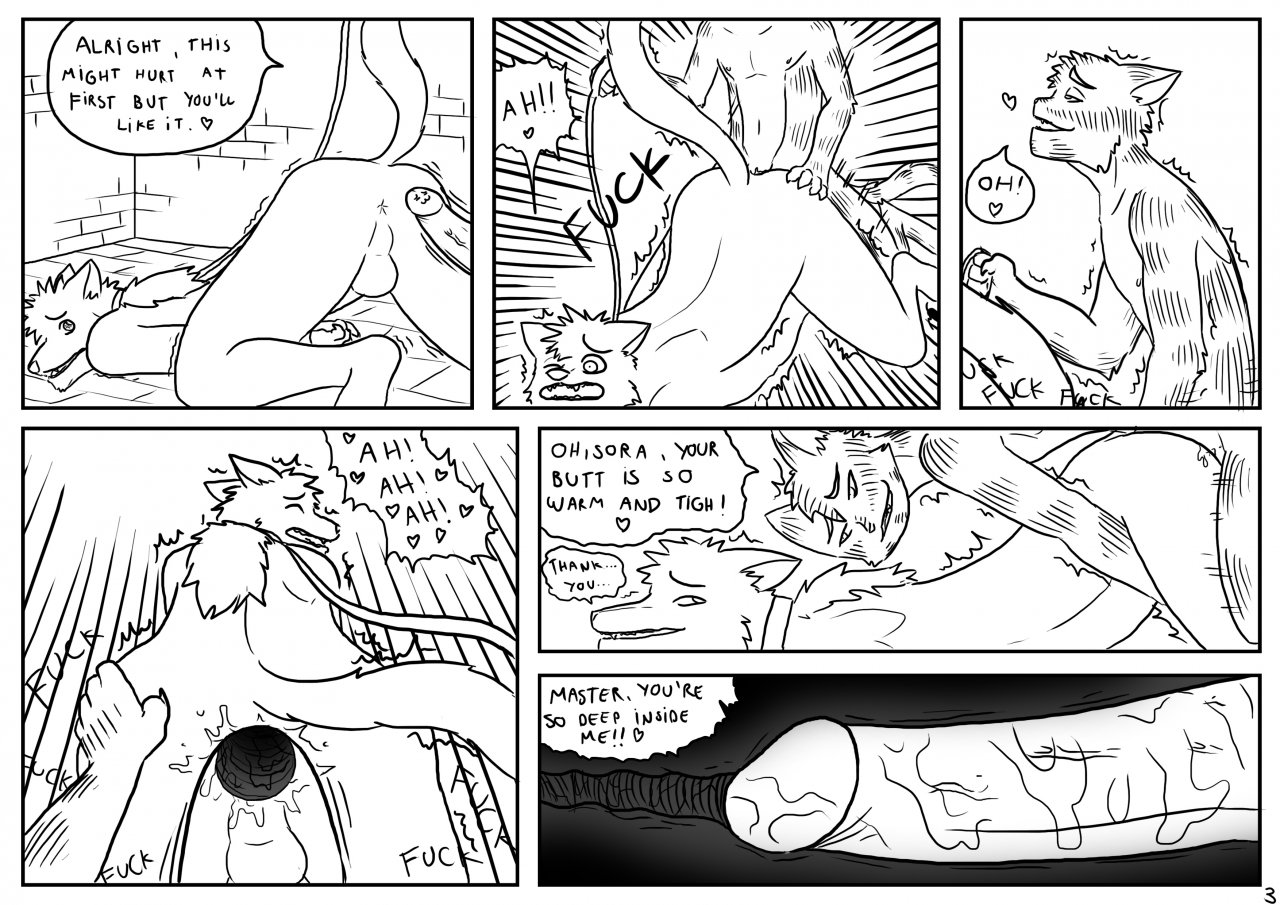 Package for You page 3 full