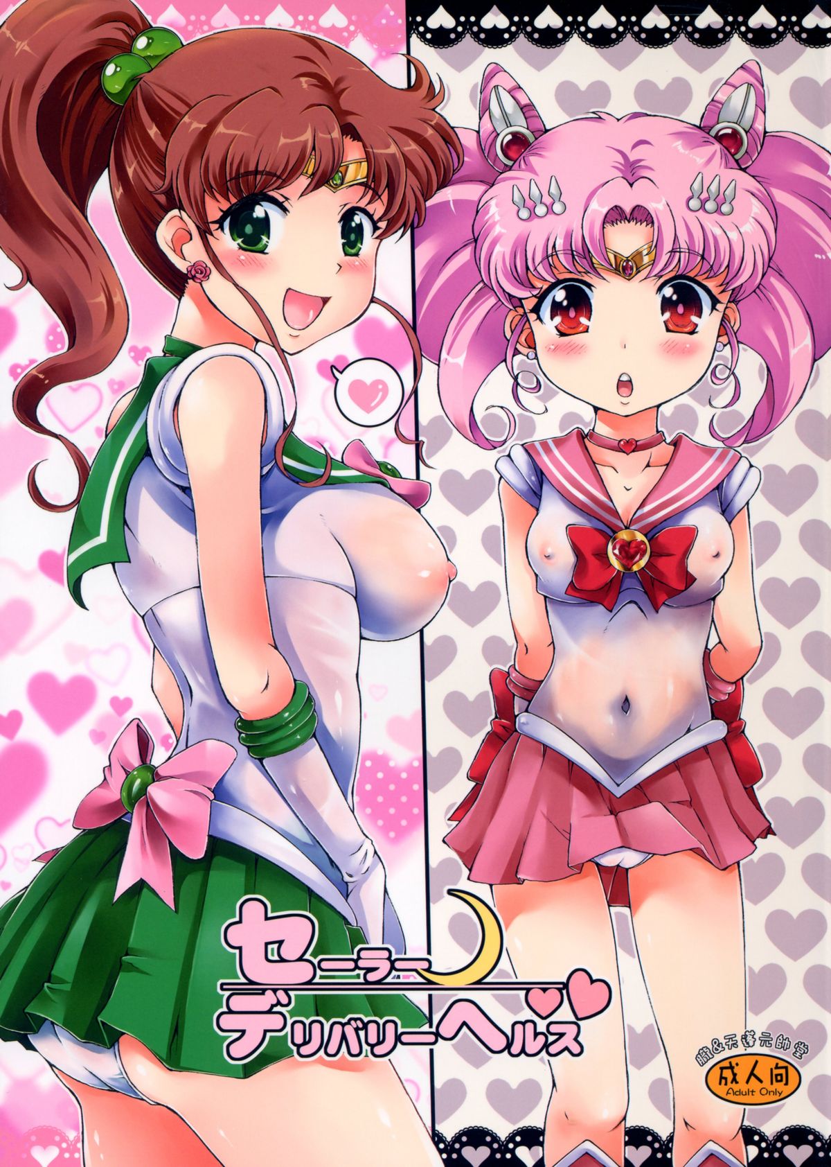 Sailor Delivery Health page 1 full