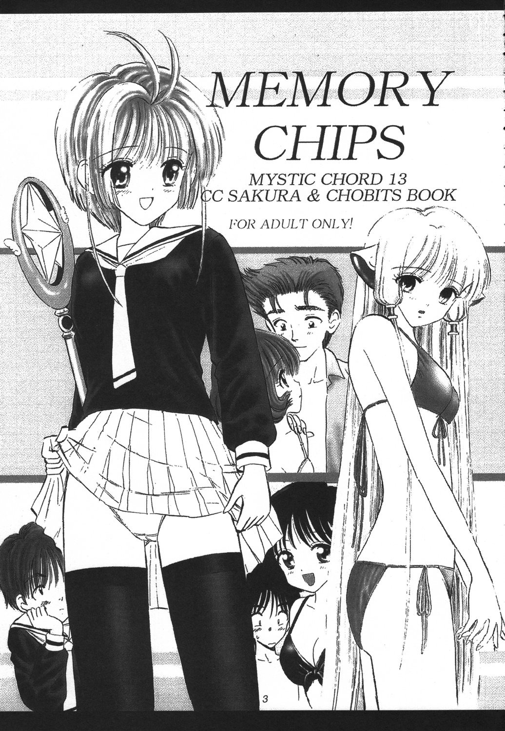 Memory Chips page 3 full