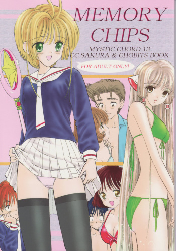 Memory Chips cover